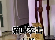 开云体育下载-关于一触即发的对决，胜者将赢得掌声的信息