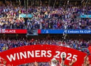 开云官方app入口-阿森纳主场大胜水晶宫，豪门逐渐回归巅峰