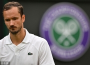 开云官方app入口-戴维斯杯逆转温网，梅德韦杰夫统治全场的简单介绍