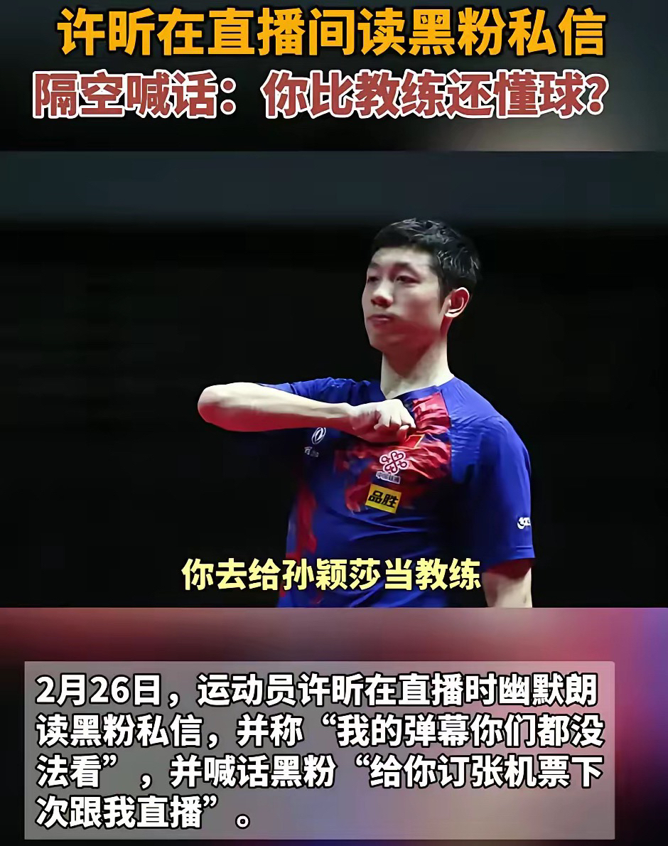 瑞典乒乓球队鏖战德国乒乓球队，许昕送出助攻的简单介绍