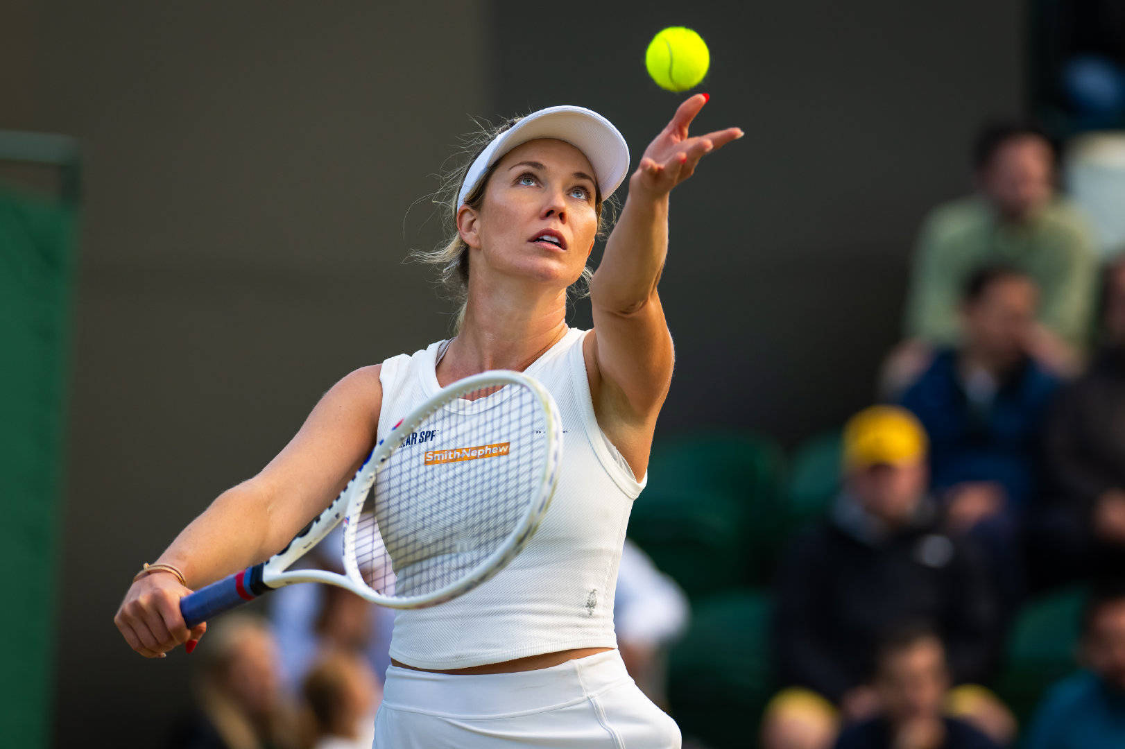 温网逆转戴维斯杯，西西帕斯状态火热的简单介绍