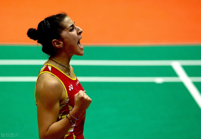 关于丹麦队力克中国队，马琳惊艳四座的信息